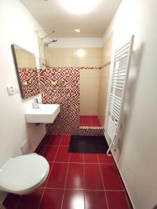 Łazienka z podłogą wyłożoną czerwonymi kafelkami, toaletą i umywalką w obiekcie THE MEETINKA apartments w Jesioniku