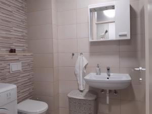een badkamer met een wastafel, een toilet en een raam bij Elena apartmani in Tuzla