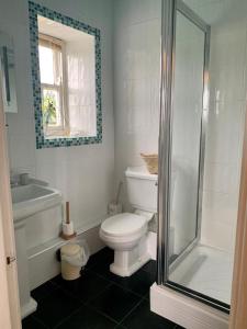 uma casa de banho branca com um WC e um chuveiro em Low Gingerfield Farm B&B em Richmond