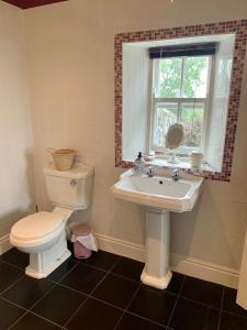 a bathroom with a toilet and a sink and a window at Low Gingerfield Farm B&B in Richmond