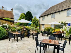 The Old Pheasant
