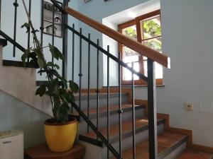 Gallery image of Apartmaji Svetinje in Ivanjkovci