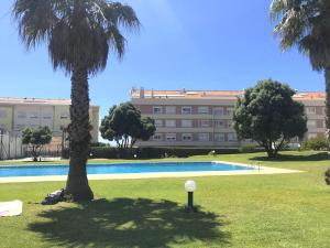 a building with a palm tree and a swimming pool at Beachside Feel Full Apartment Beach & Casino in São Félix da Marinha