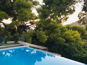 a blue swimming pool with trees in the background at Villa tranquility in Lagonissi