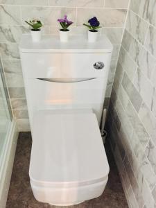 a white toilet with three plants on top of it at Morden Central Self Contained Flat by CozyNest in Reading