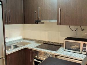cocina con fregadero y microondas en Casa Nacho by Delabra Apartments, en Oviedo