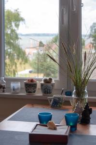 a table with blue cups and a window with plants at Villa Baltic 14 Chałupy in Chałupy