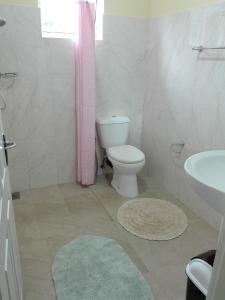 uma casa de banho com um WC e um lavatório em Keshiya Holiday Home em Nuwara Eliya