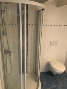 a bathroom with a shower and a toilet at HOME SWEET HOME in the green lung of Brussels in Hoeilaart