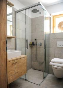 a bathroom with a shower and a toilet and a sink at Luxury Grimentz Apartment in Grimentz