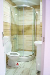 ein Bad mit einem WC und einer Dusche in der Unterkunft Apartments Karamarković 1 in Vrnjačka Banja