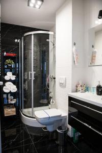 Kúpeľňa v ubytovaní Apartamenty Królewskie + 37 fotografií