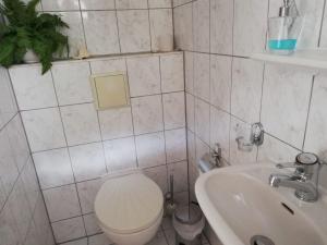 La salle de bains est pourvue de toilettes et d'un lavabo. dans l'établissement Pension Am Rosental Merseburg, à Merseburg