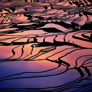 元阳县元阳云上景观民宿的相册照片