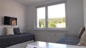- un salon avec un canapé et une fenêtre dans l'établissement Apartmán Pernink, à Pernink