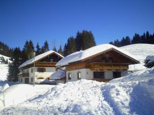 Haus Steinkarblick und Berghäusl saat musim dingin