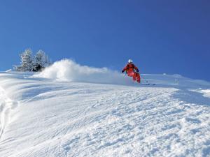 Apartment Le Tetras-1 by Interhome v zimě