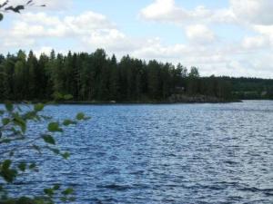 a large body of water with trees in the background at Holiday Home Korpilahti by Interhome in Tiirinlahti