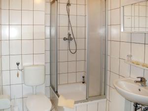ミローにあるApartment Old Hüsung - MUZ322 by Interhomeのバスルーム(シャワー、トイレ、シンク付)