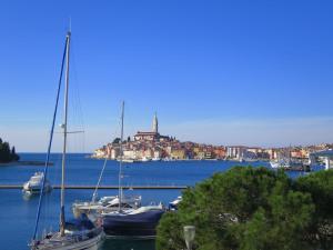a group of boats are docked in a harbor at Apartment Pineta - ROJ104 by Interhome in Rovinj