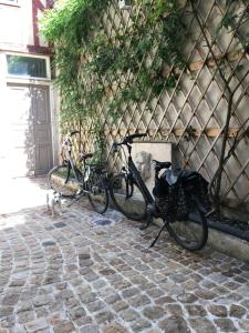 duas bicicletas estacionadas ao lado de um edifício com um gato em Jade House Hyper Centre Troyes em Troyes