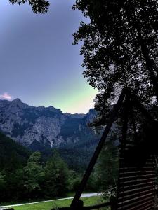 einen Blick auf die Berge von einem Baum in der Unterkunft Skalca in Kamniška Bistrica