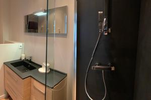 La salle de bains est pourvue d'une douche en verre et d'un lavabo. dans l'établissement Clos des Jacobins (Grand Cru Classé), à Saint-Émilion