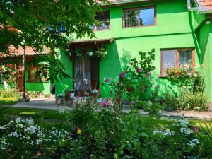 LăzareaにあるCsergő Ildikó vendégházの花の前の緑家