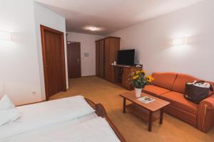 TV a/nebo společenská místnost v ubytování Hotel Am Sonneck