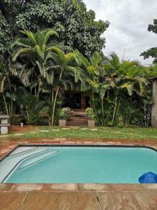 a swimming pool in front of a house with palm trees at Lifestyle Corner Guesthouse in Musina