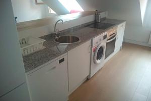 eine Küche mit einer Spüle und einer Waschmaschine in der Unterkunft PLAZA CENTRAL CANGAS DE Onís in Cangas de Onís