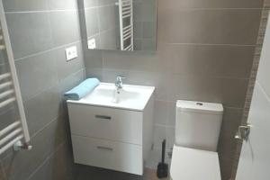 Un baño con inodoro, lavabo y espejo. en PLAZA CENTRAL CANGAS DE Onís, en Cangas de Onís