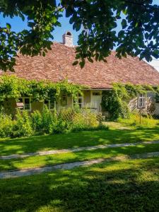 Zahrada ubytování Gästehaus Fogarasch