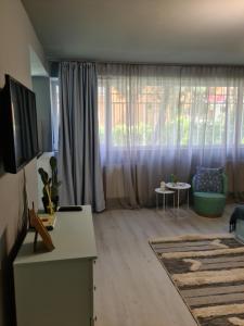 TV a/nebo společenská místnost v ubytování Zorilor Cactus Apartment