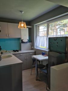 Virtuvė arba virtuvėlė apgyvendinimo įstaigoje Zorilor Cactus Apartment