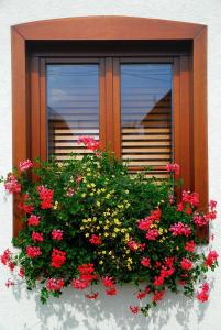Giardino di Apartmánový dom Slniečko