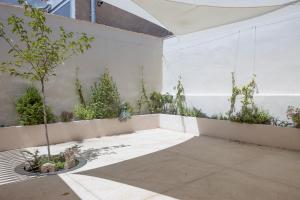 un jardín con plantas en una pared blanca en Apartamento Imón en ElMolinoDeLaSal de Sigüenza, en Sigüenza