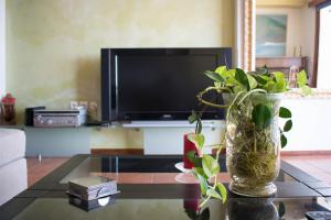 TV a/nebo společenská místnost v ubytování Dolichi View