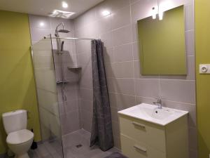 Koupelna v ubytování Studio Les chambres de la source - Milouin
