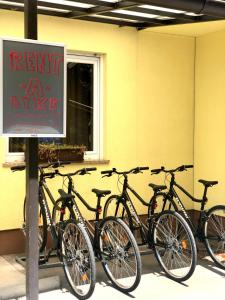Jízda na kole v ubytování Hotel Medno nebo okolí
