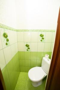 La salle de bains est pourvue de toilettes blanches dans une pièce verte. dans l'établissement Lviv City Rent, à Lviv