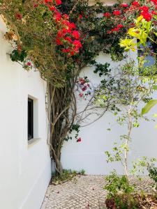 a white wall with red flowers on it at Dona Maria 66 in Luz