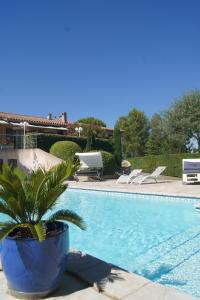 a plant in a blue pot next to a swimming pool at L’Antre d’Eux in Carcassonne