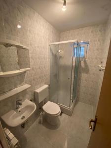 a bathroom with a shower and a toilet and a sink at Apartment Coskovic in Rošini
