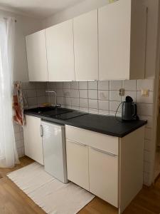 Kuchyň nebo kuchyňský kout v ubytování Apartment Coskovic