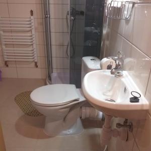 Kúpeľňa v ubytovaní Kwatery pod Doliną