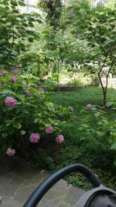 een uitzicht op een tuin met roze bloemen bij Vracar Krunska Jamiva in Belgrado