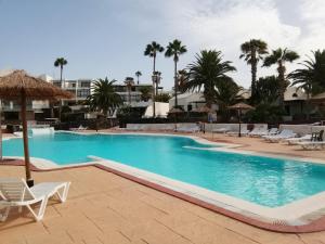 a large swimming pool with chairs and palm trees at PLAYA ROCA MODERN STUDIO - Seafront Pool Complex in Costa Teguise