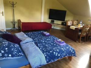 Postel nebo postele na pokoji v ubytování Ubytování v soukromí rodinné vily v Děčíně