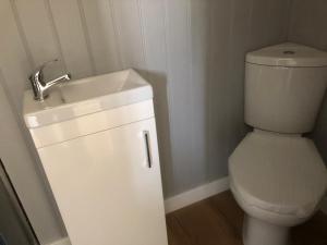 uma casa de banho com um WC branco e um lavatório. em Woodpeckers em Llandrindod Wells